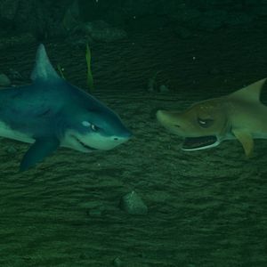 Bilder Happy Fish 2 - High-Alarm im Hochwasser