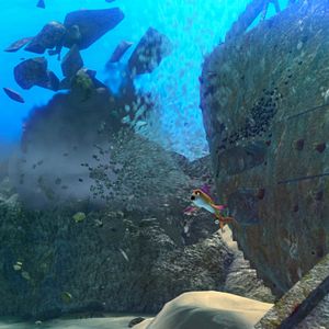 Bilder Happy Fish 2 - High-Alarm im Hochwasser