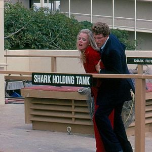 Bilder Robert Newman