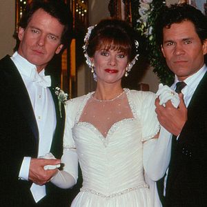 Bilder Gordon Thomson