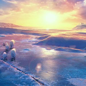 Bilder John Stevenson