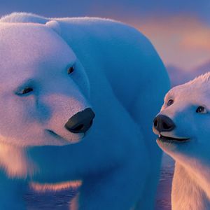 Bilder John Stevenson