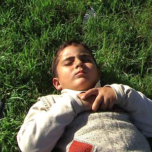 Bilder 5 Broken Cameras