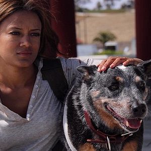 Bilder Zombie Invasion War