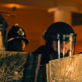 Bilder London Pitbulls