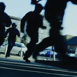 Bilder London Pitbulls