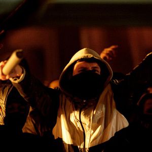 Bilder London Pitbulls