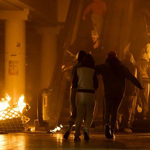 Bilder London Pitbulls