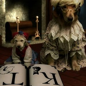 Bilder Heidi auf 4 Pfoten