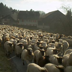 Bilder Winternomaden