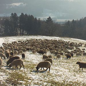 Bilder Winternomaden