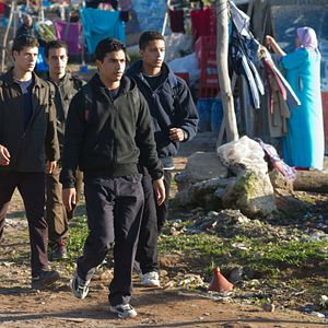 Bilder Horses of God