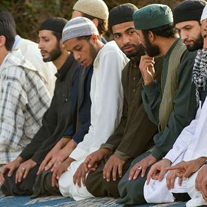 Bilder Horses of God