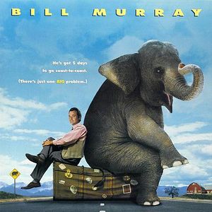 Bilder Die dicke Vera