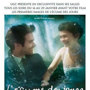 Bilder Der Schaum der Tage