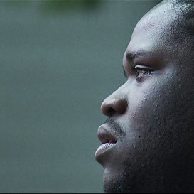 Bilder Welcome to Pine Hill