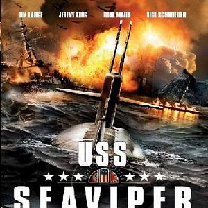 Bilder USS Seaviper