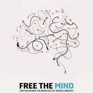 Bilder Free the Mind
