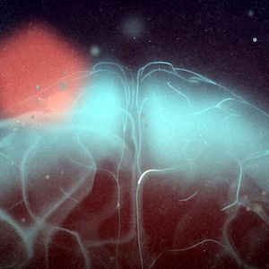 Bilder Free the Mind