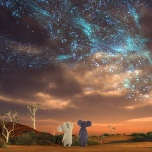 Bilder Outback - Jetzt wird's richtig wild!