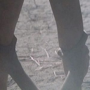 Bilder Oase der Zombies