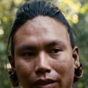 Bilder Jonathan Brewer