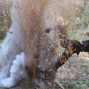 Bilder La Dernière Recrue