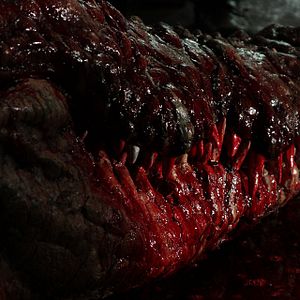 Bilder Lake Placid 4