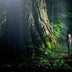 Bilder Le Diable dans la peau