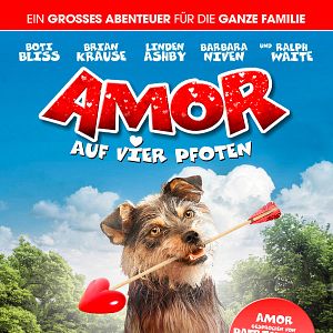 Bilder Amor auf vier Pfoten