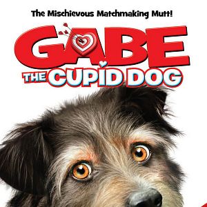 Bilder Amor auf vier Pfoten