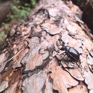 Bilder Slow - Langsam ist das neue Schnell