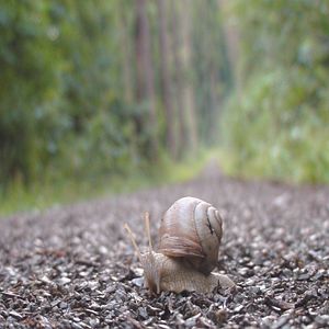 Bilder Slow - Langsam ist das neue Schnell