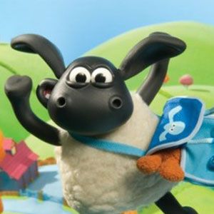 Bilder Timmy, das Schäfchen