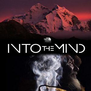 Bilder Into the Mind