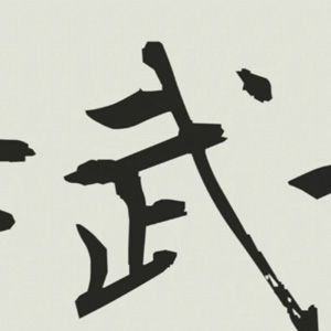 Bilder The Old Samurai