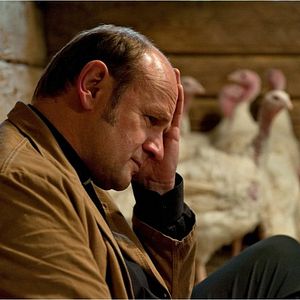 Bilder Frühlingskinder