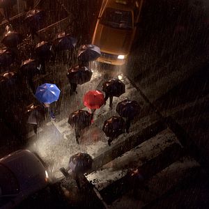 Bilder The Blue Umbrella