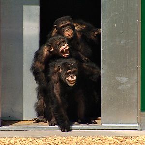 Bilder Unter Menschen