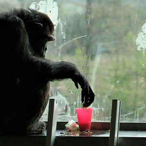 Bilder Unter Menschen