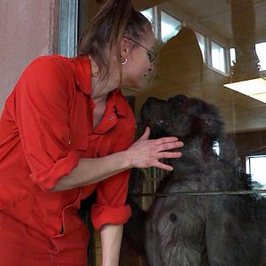 Bilder Unter Menschen