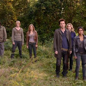 Bilder Tracy Spiridakos