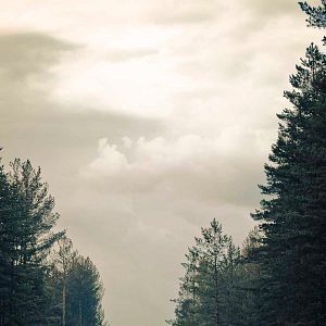 Bilder The Cosmonaut