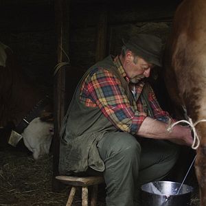 Bilder Peak - Über allen Gipfeln