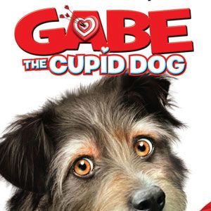 Bilder Amor auf vier Pfoten