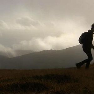 Bilder We Are Northern Lights