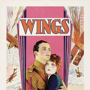 Bilder Flügel aus Stahl