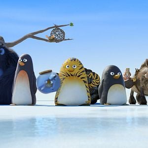 Bilder Die Dschungelhelden - Operation: Südpol