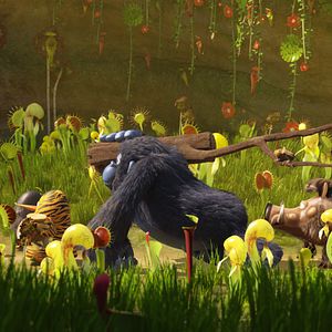 Bilder Die Dschungelhelden - Operation: Südpol