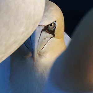 Bilder Die Nordsee - Unser Meer